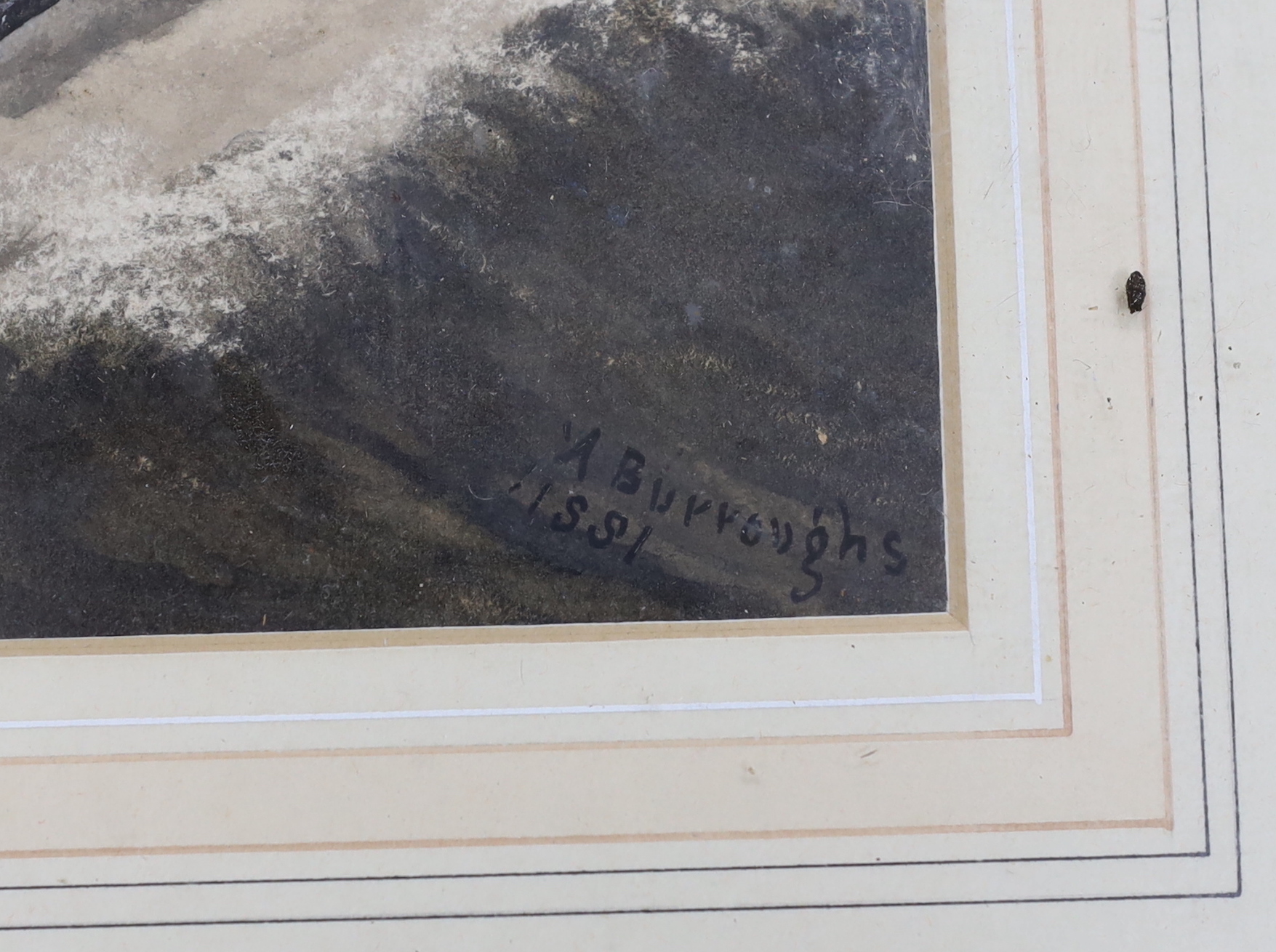 A. Burroughs (19th.C), heightened watercolour, Steamship at sea, signed and dated 1881, 29 x 56cm